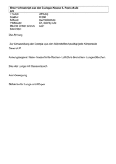 Vorschau
