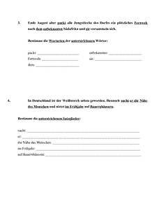 Vorschau