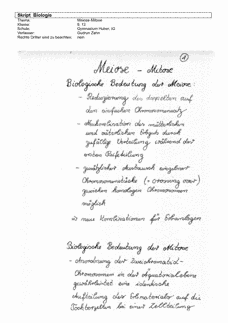 Vorschau