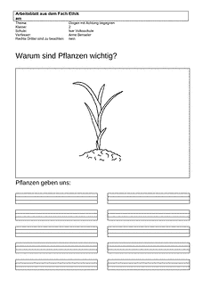 Vorschau