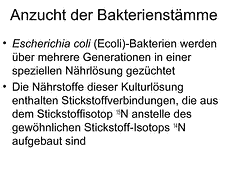 Vorschau