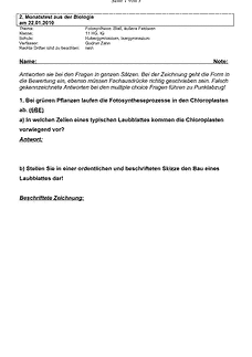 Vorschau
