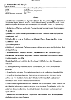 Vorschau