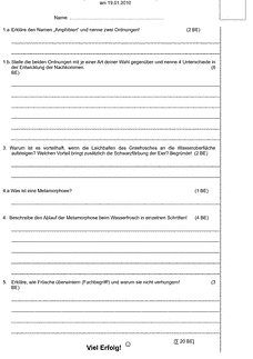 Vorschau