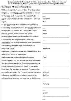Vorschau