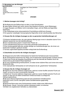 Vorschau