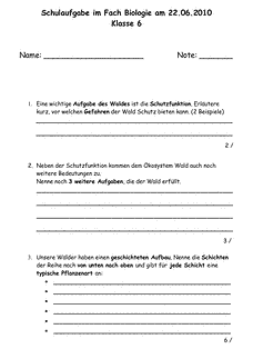 Vorschau