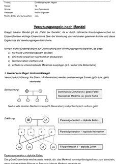 Vorschau