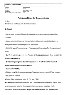 Vorschau
