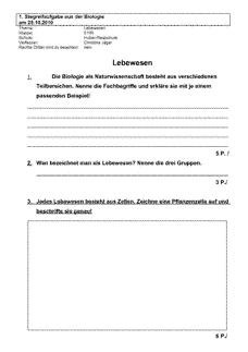 Vorschau