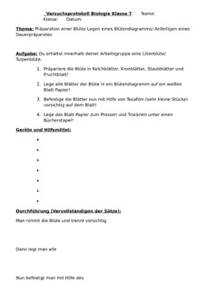 Vorschau