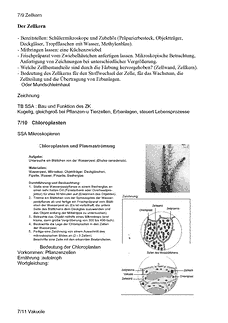 Vorschau