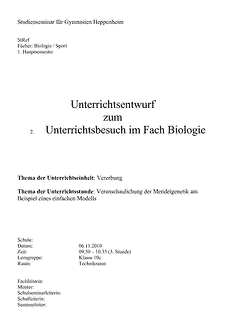 Vorschau