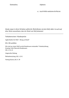 Vorschau