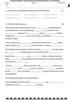 Vorschau