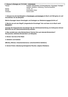 Vorschau