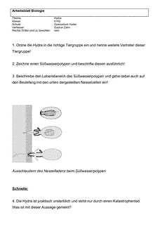 Vorschau