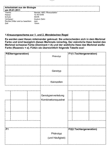 Vorschau