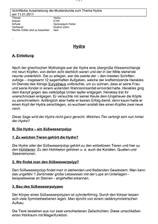 Vorschau