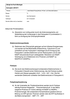 Vorschau