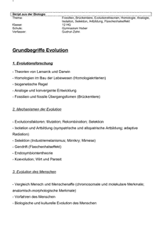 Vorschau