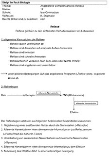 Vorschau