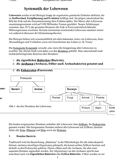 Vorschau