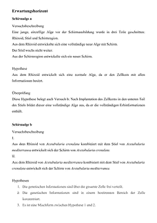 Vorschau