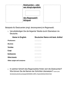 Vorschau