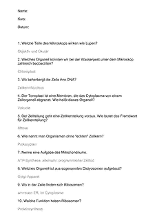 Vorschau