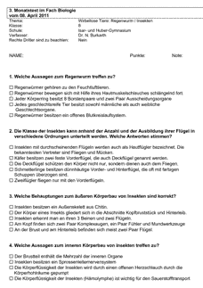 Vorschau