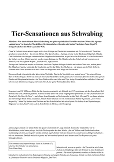 Vorschau