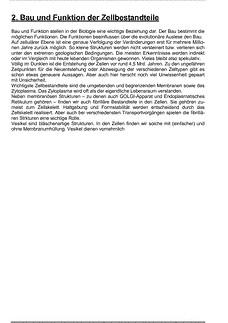 Vorschau