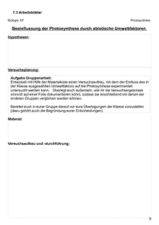 Vorschau