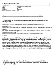 Vorschau