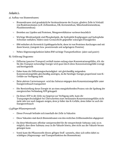 Vorschau
