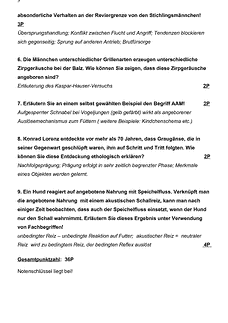 Vorschau