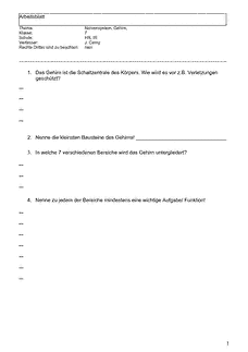 Vorschau
