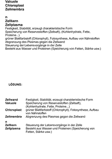 Vorschau