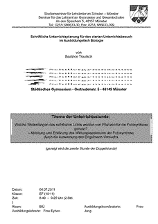 Vorschau