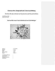 Vorschau