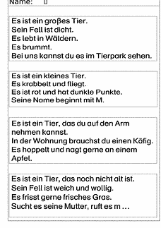 Vorschau