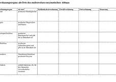 Vorschau