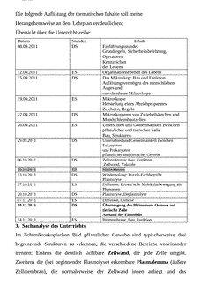 Vorschau