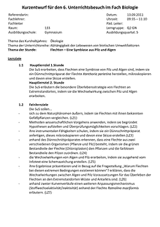 Vorschau
