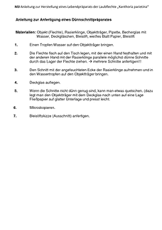 Vorschau