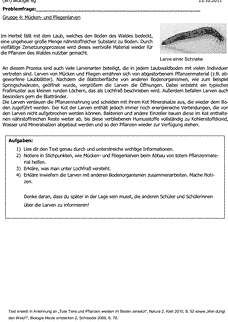 Vorschau
