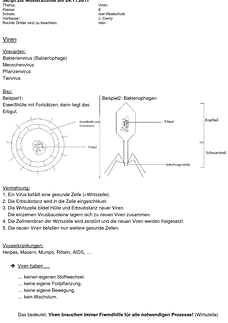 Vorschau
