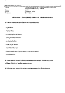 Arbeitsblatt