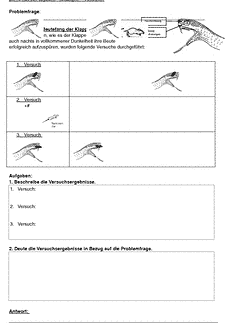 Arbeitsblatt